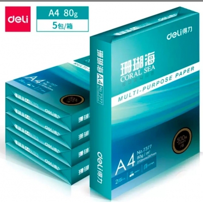 得力（deli）珊瑚海 80g A4 复印纸 中档款打印纸 500张/包 5包1箱（整箱2500张）